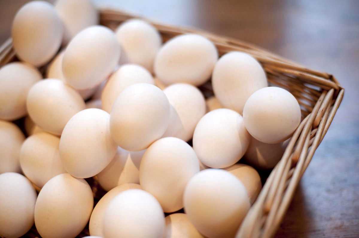  قیمت تخم مرغ از فروردین ۱۴۰۱  افزایش می یابد.
