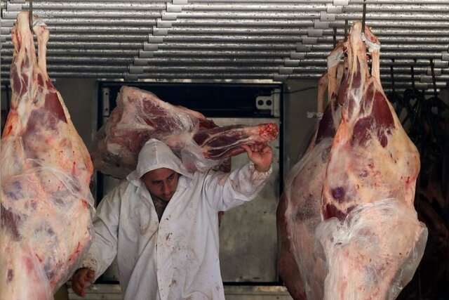  تایید کانادا برای  واردات گوشت گاو از برزیل .